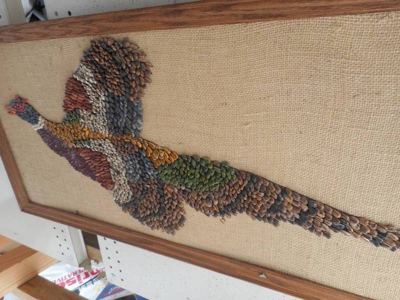 PHEASANT PICTURE