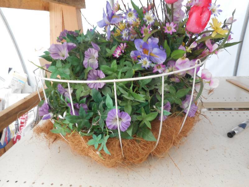 IN OR OUT WIRE PLANT BASKET