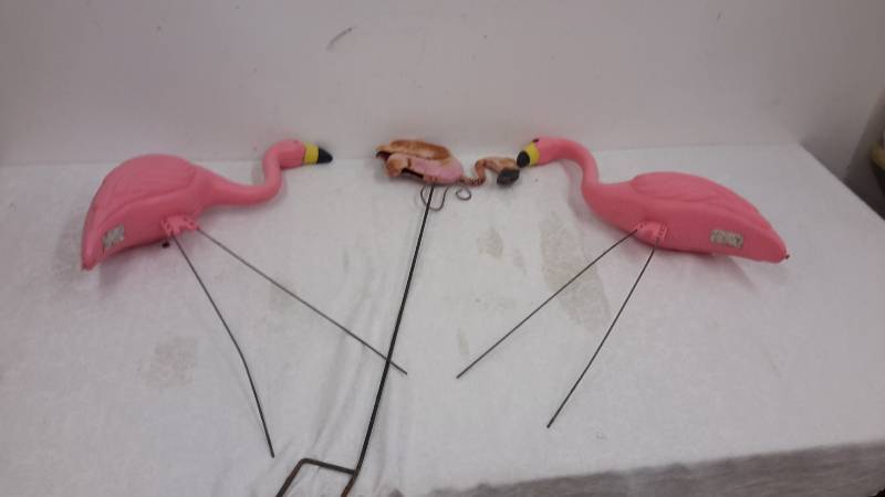 Pink flamingos