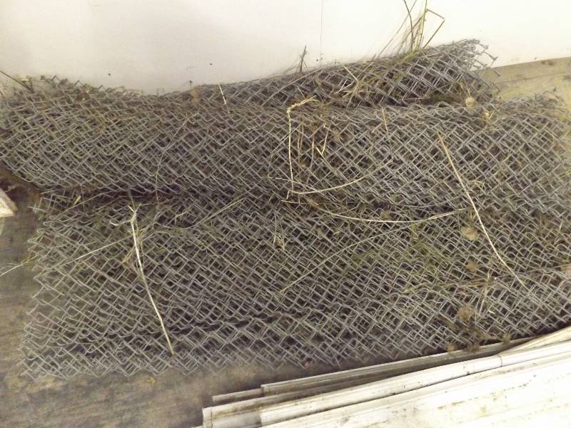 Chain Link Fence