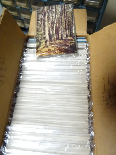 lot 12 image: 2 Boxes New PostCards