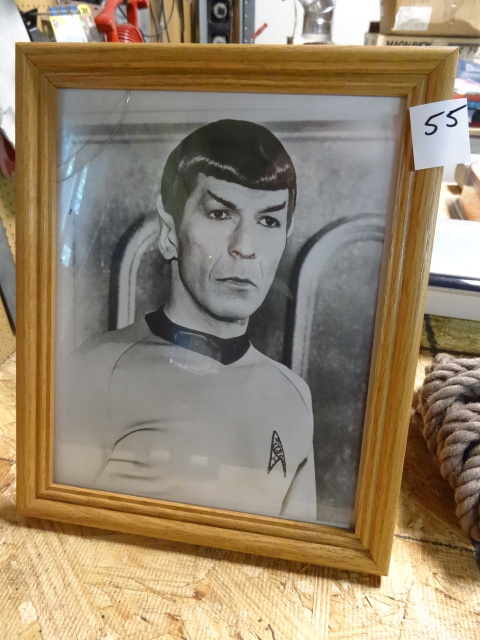 lot 55 image: Leanard Nimoy (Spock) Framed Picture