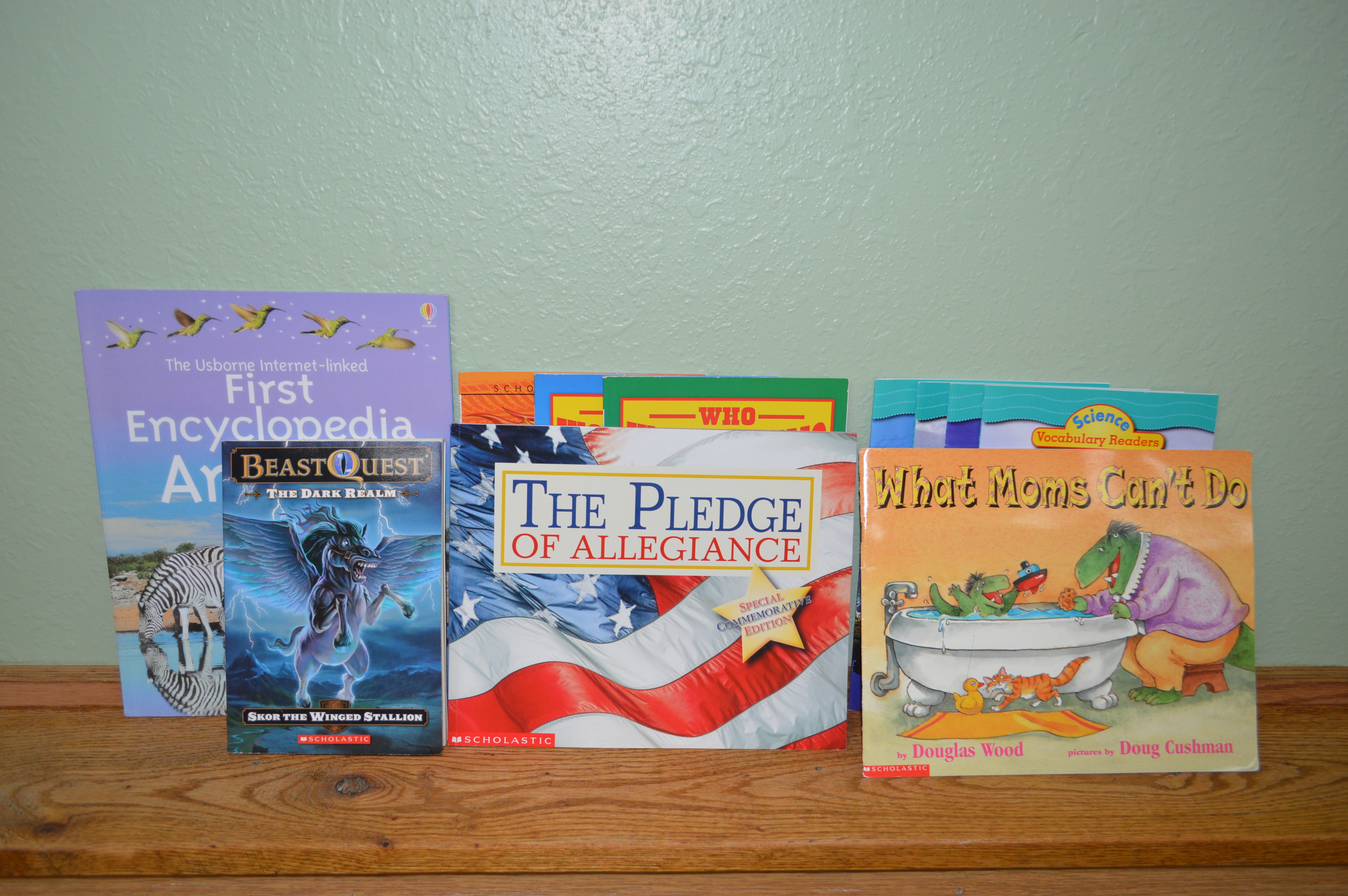 lot 57 image: 11-Scholastic assorted books