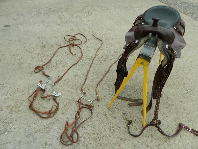 Circle Y Park and Trail Horse Saddle