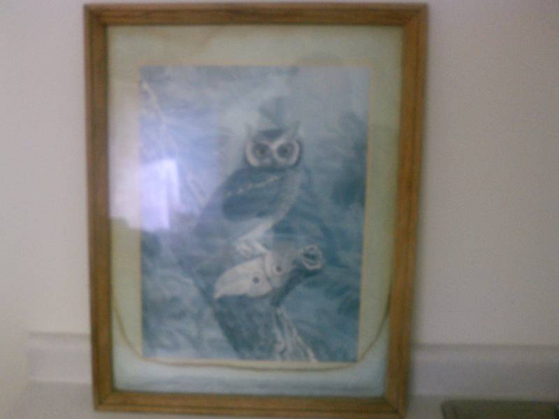 lot 31 image: Owl picture in oak frame