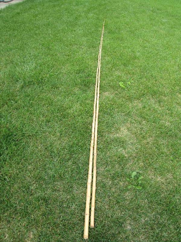 lot 153 image: Bamboo Cane Poles