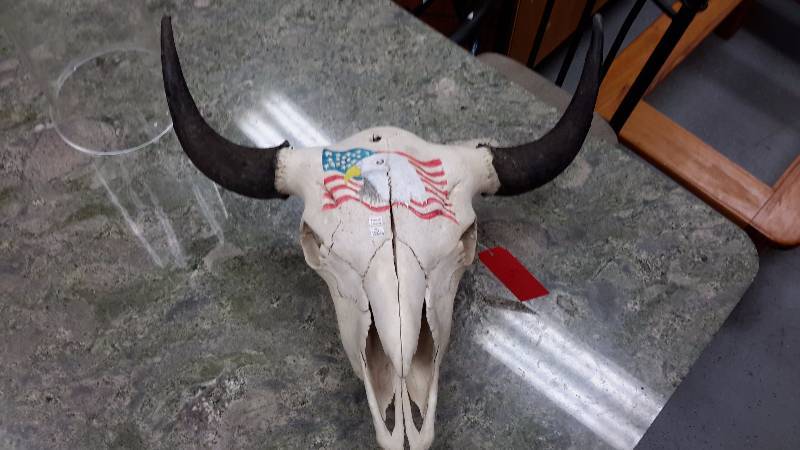 Large skull with handcarved and painted Eagle