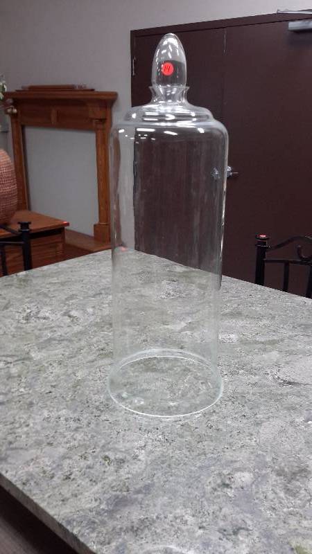 Large glass Bell (cloches) plant cover