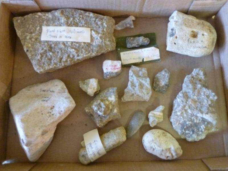 lot 186 image: Collector Rocks
