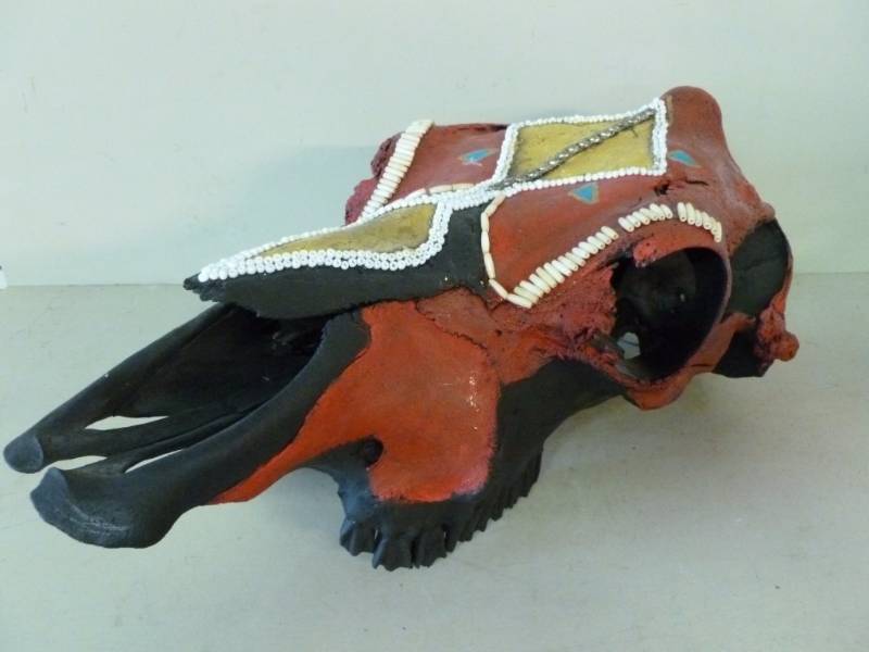 lot 251 image: Bull Skull