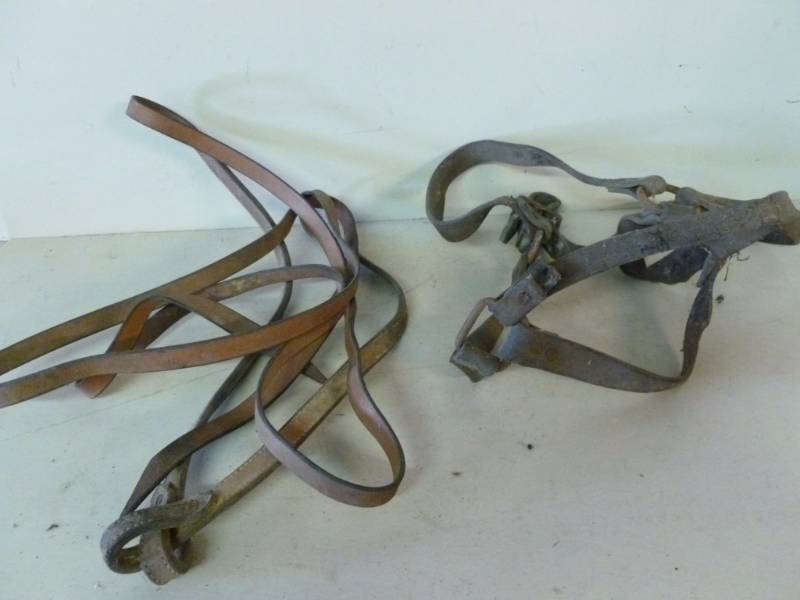 lot 347 image: Horse Equipment