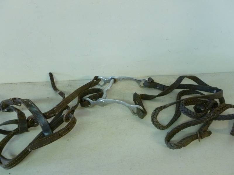 lot 349 image: Horse Equipment