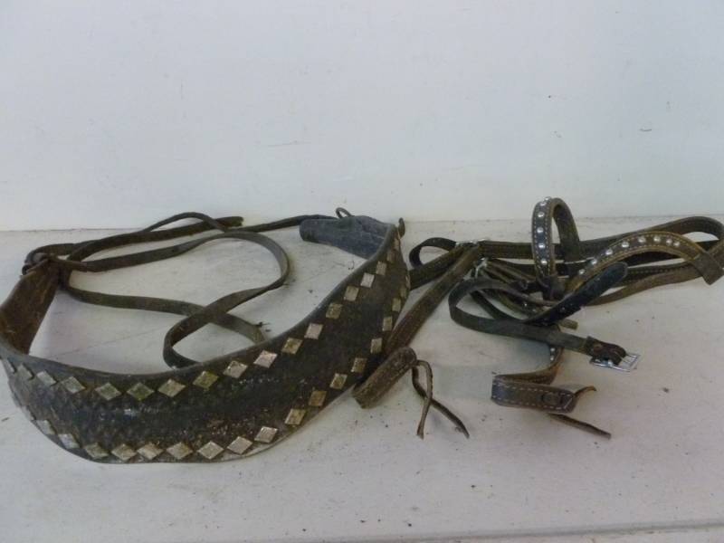 lot 352 image: Horse Equipment