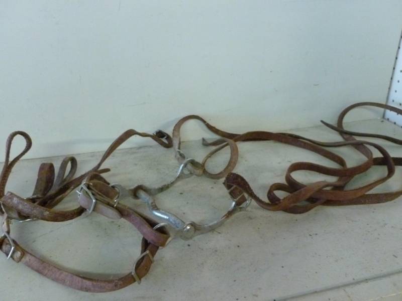 lot 354 image: Horse Equipment