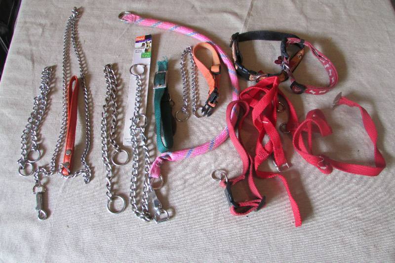 Animal Collars