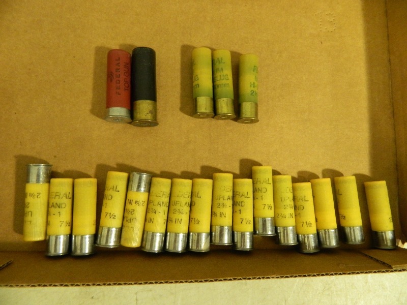 lot 11 image: Assorted Shotgun Ammo