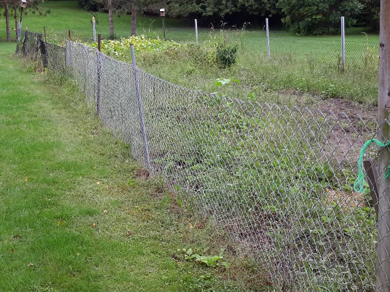 lot 251A image: 90 ft x 25 ft Garden surrounded by woven storm wire.. Take it all, but you must remove.. You can have any posts you can take out as well.