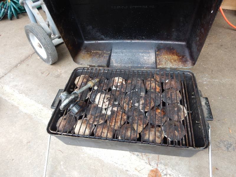 lot 39B image: CHARBROIL, Table Top Propane Grill