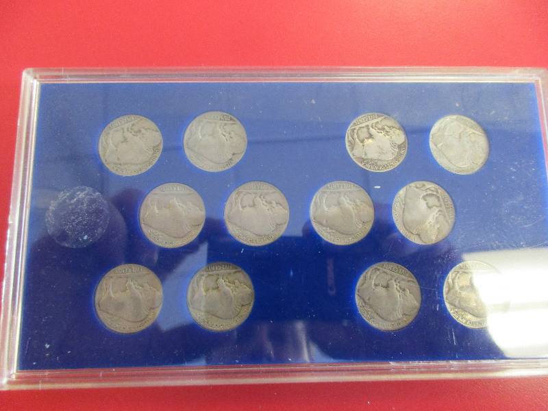 United States Buffalo Nickels Collectors Display Set