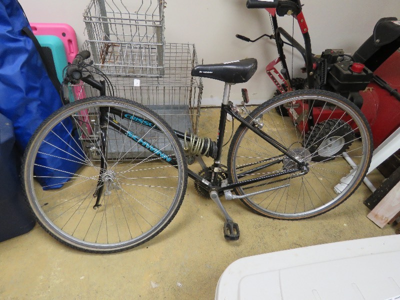 Schwinn Womens Bike