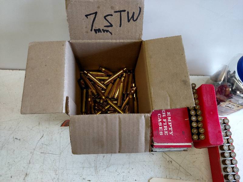 lot 125 image: 9mm Casings...