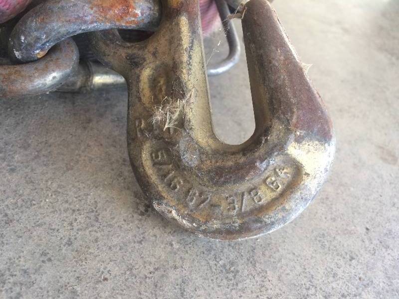 Winch Strap wChain Anchor