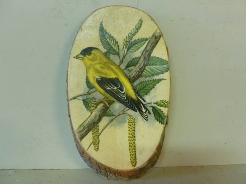 Native American Item