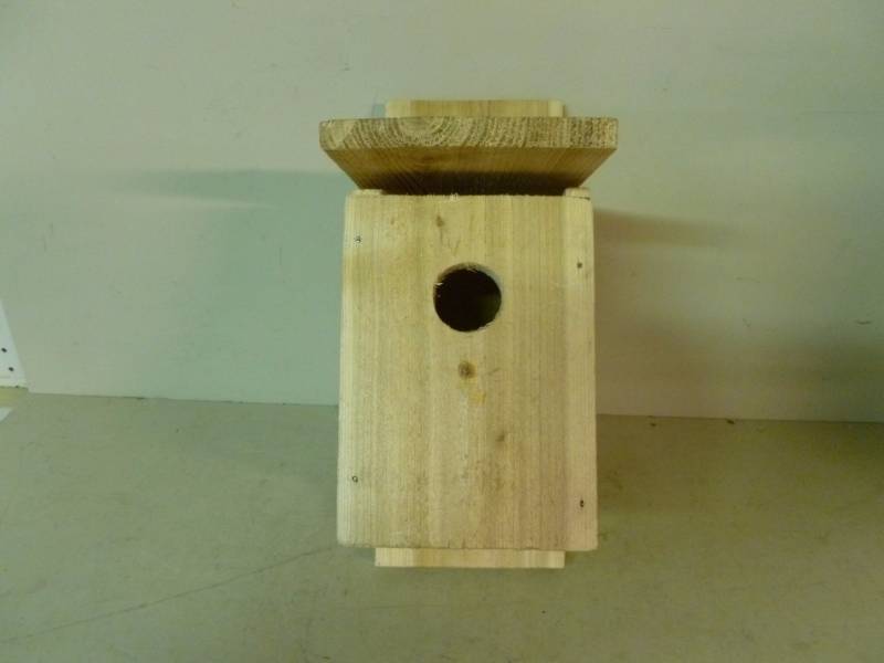 Bird House