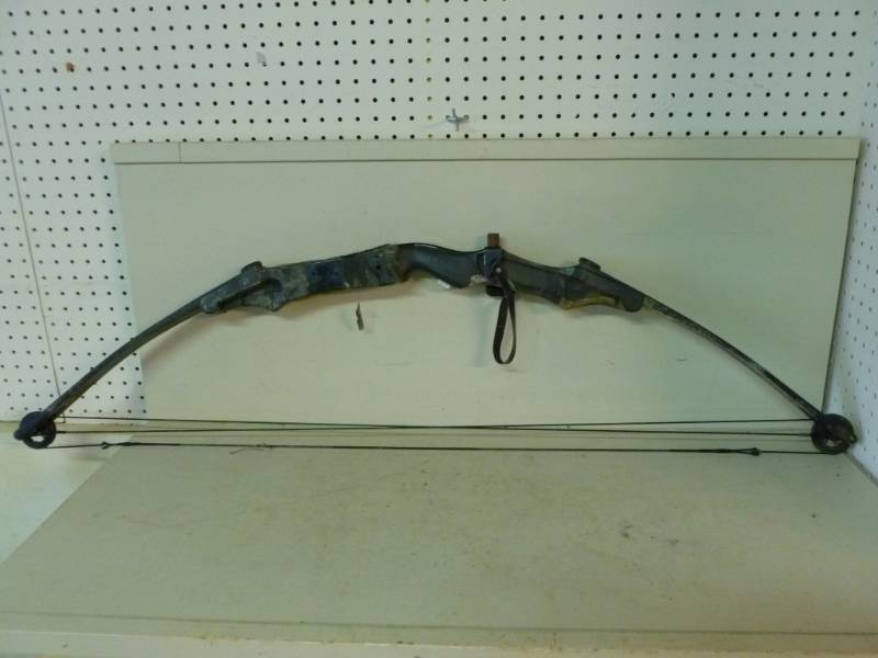 Compound Bow