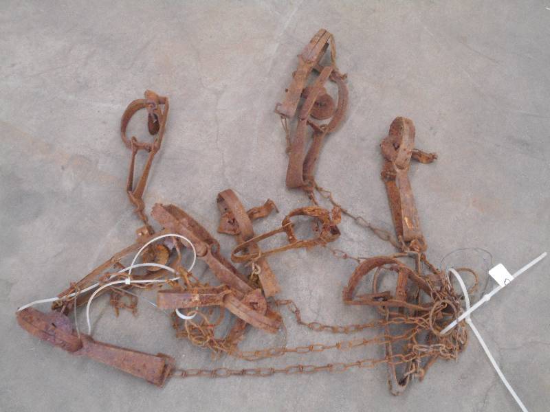 lot 23 image: Lot Of (10) Vintage Animal Traps ...