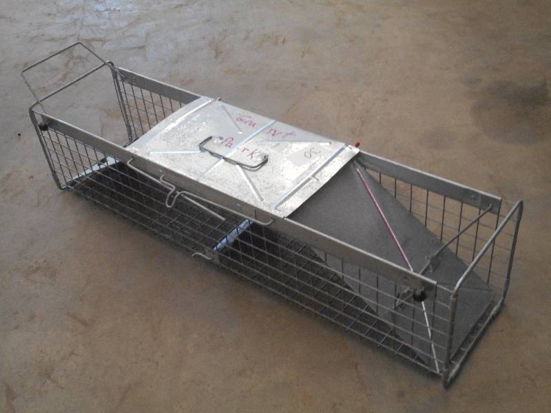 lot 30 image: Havahart Double Sided Live Trap ...