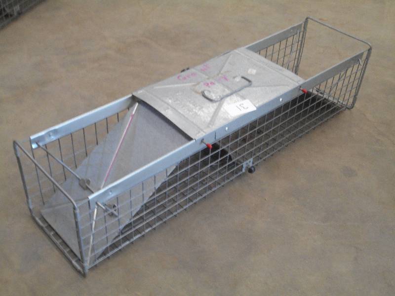 lot 31 image: Havahart Double Sided Live Trap ...
