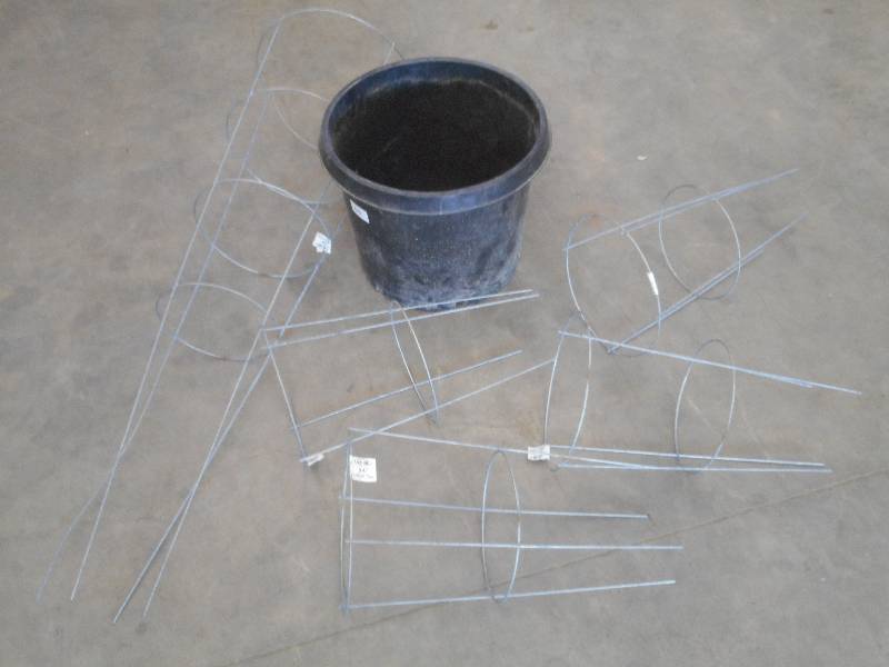 lot 60 image: Lot Of (5) Garden Tomato Cages & (1...