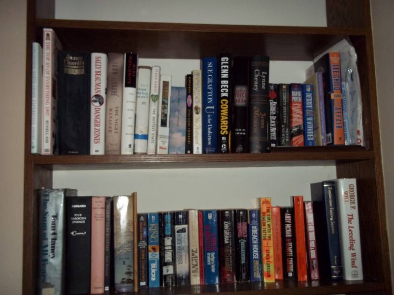 Lot of 2 Shelves of Books