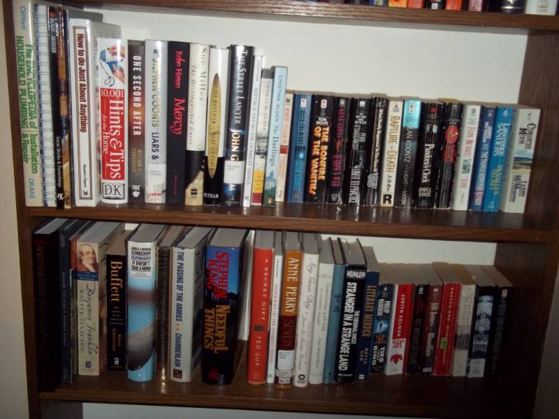 Lot of 2 Shelves of Books