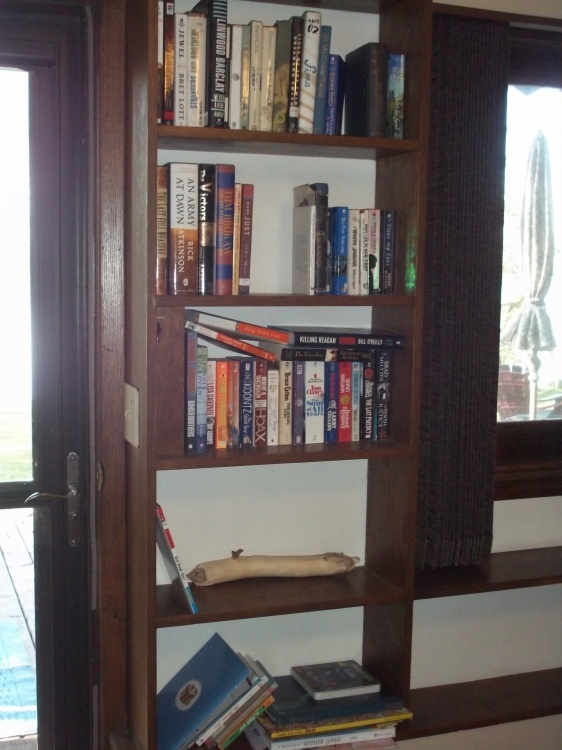 Books with dcor, does not include shelf