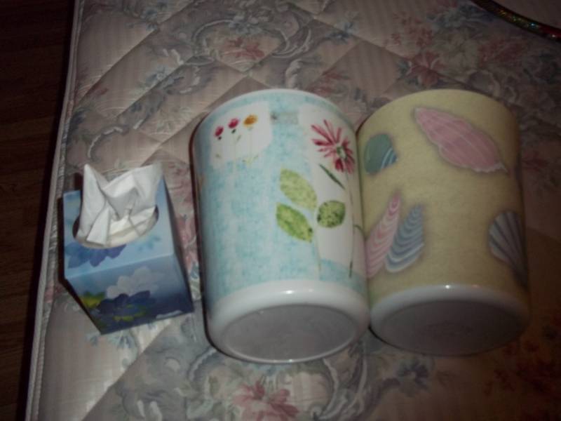 Pair of Waste Baskets
