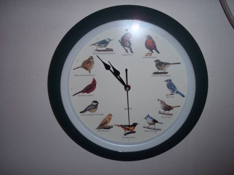 Bird Clock