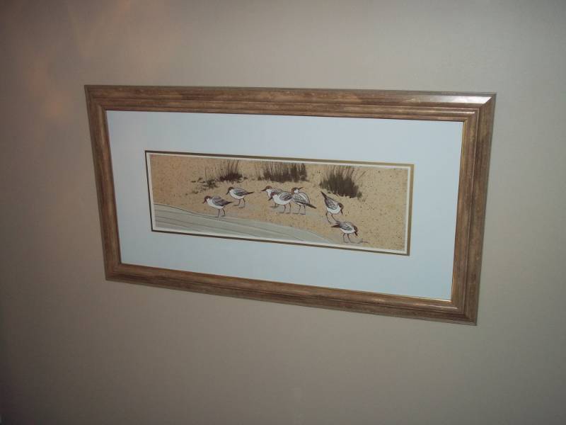 Framed Sand piper 29 x 54