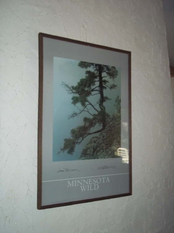 Minnesota Wild Framed print 25 x  36