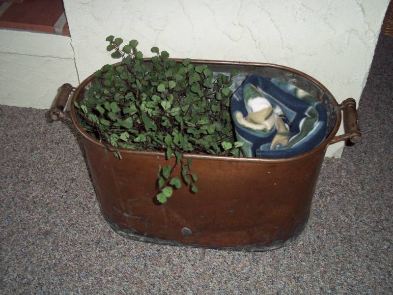 Antique Copper Boiler with blanket and plant dcor