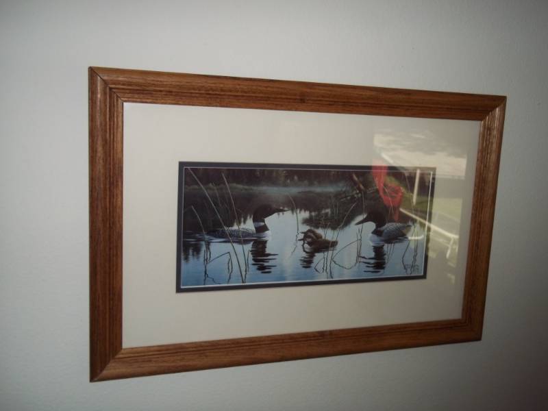 Framed Loon Print 23 x 14