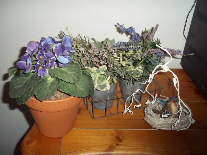 Plant dcor