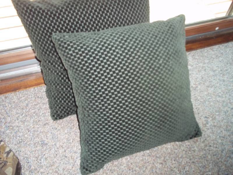 Pair of green pillows