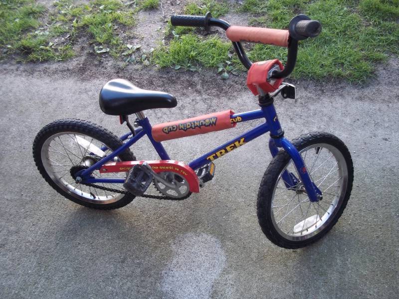 Trek kids blue bike