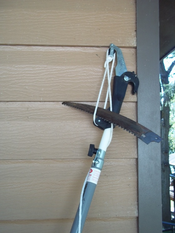 Pole Saw