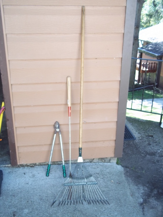 Rake, pruner and grass trimmer