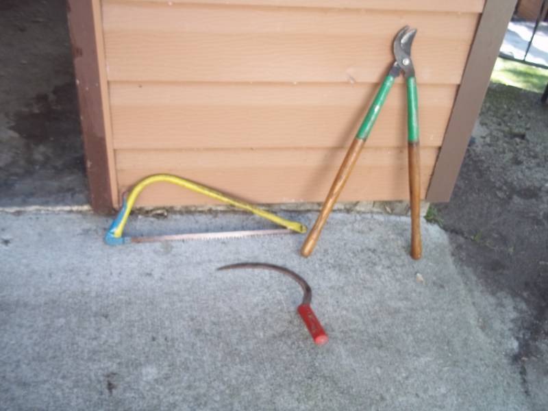 Bow saw Pruners and sye