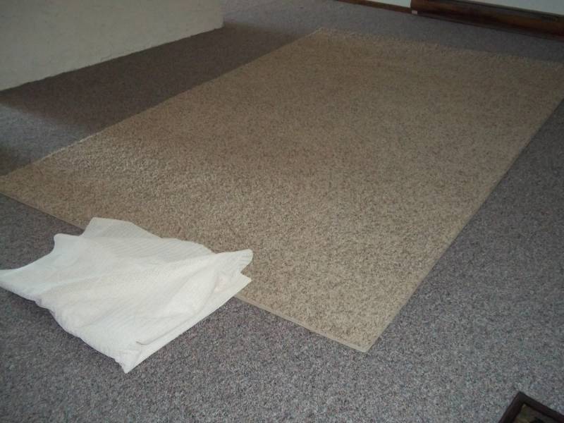 6 x 9 Rug with pad
