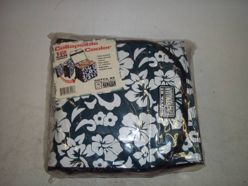 lot 15 image: Collapsible Cooler 12 can